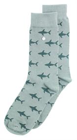 Alfredo Gonzales Shark attack Accessoires
