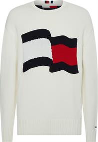 TOMMY HILFIGER Mw0mw17366 Truien