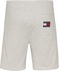 tommy-jeans-dm0dm10741-shorts